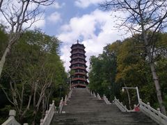 -红花山公园
