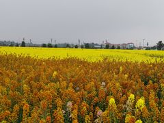 -中国天府农业博览园