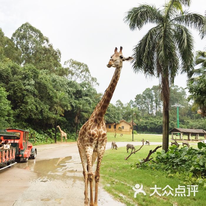 广州长隆野生动物世界