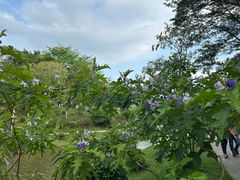 -东莞植物园