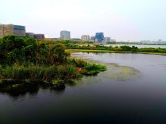 -上海滴水湖皇冠假日酒店