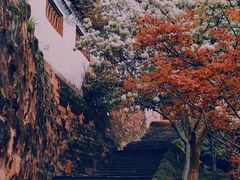 -东坡赤壁风景名胜区