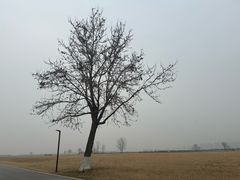 -汉长安城未央宫国家考古遗址公园