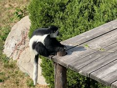 -大连森林动物园