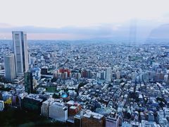 -东京都厅舍