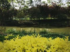 -白鹭湾湿地公园