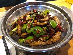 香锅鸡尖-三猫黑鱼花(南大店)