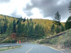 -塞罕坝国家级自然保护区