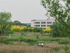 -马家湾湿地公园
