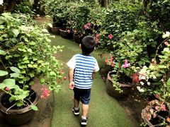 -呀路古热带植物园