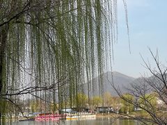 -Beans Solo豆号咖啡(百家湖花园店)