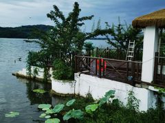 -东湖落雁景区