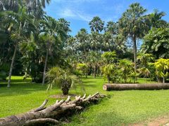 -中国科学院西双版纳热带植物园