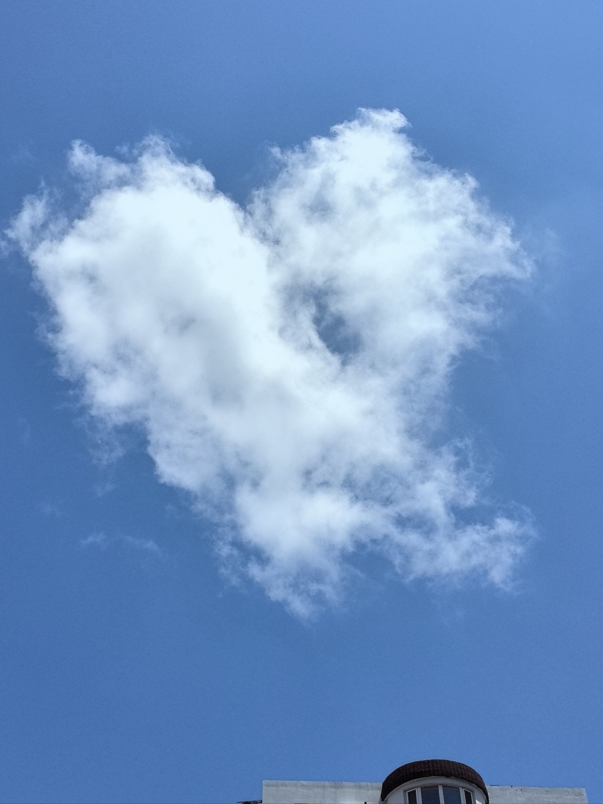 今天拍到了爱心云