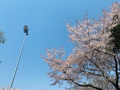 -同济大学（四平路校区）-图书馆