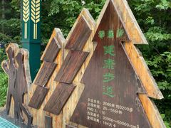 -汤旺河林海奇石景区
