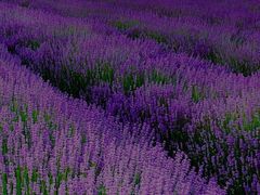 -和合谷(新辰里亚运村店)