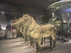 -秦始皇帝陵博物院-丽山园