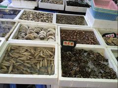 -外伶仃岛海鲜市场