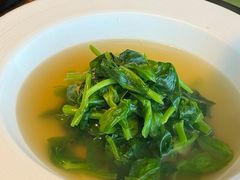 -茹·pure vegan(博华广场店)