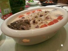 功夫青斑鱼-听涛轩酒家