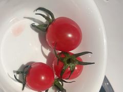 -七欣天香辣蟹火锅(闵行浦江欢乐颂店)