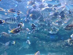 -海合安成都极地海洋公园
