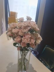 -重庆宝丽医疗美容