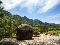 -中国茶叶博物馆(双峰馆区)