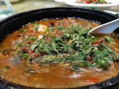 -成都芙蓉饭店蓉国食府·精品川菜·竹山珍·鱼鲜