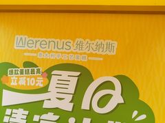 -维尔纳斯·生日蛋糕动物奶油冰淇淋蛋糕(人大店)