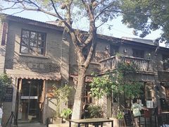 -两棵枇杷树