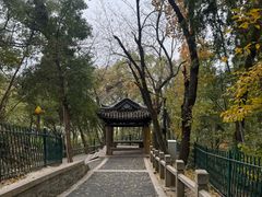 -灵岩山风景区