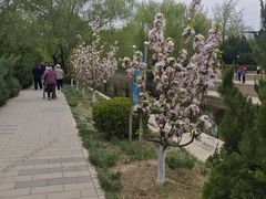 -元大都城垣遗址公园