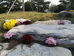 -燕郊植物园