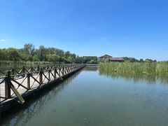 -溱湖国家湿地公园