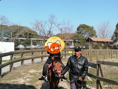 -苏州太湖西山岛开心农场