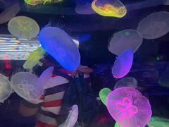 -太平洋海底世界