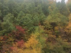 -云顶山风景区