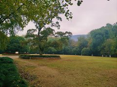 -紫金山山顶公园