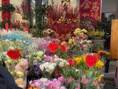 -溪岸路花鸟市场