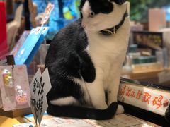 -猫的天空之城概念书店(杭州南宋御街店)