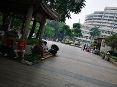 -广州中医药大学第一附属医院(总院)