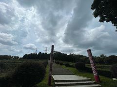 -紫马岭公园