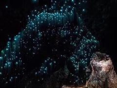 -怀托摩萤火虫洞