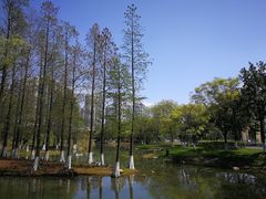 -白塘生态植物园
