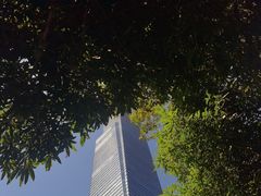 -南宁南湖公园