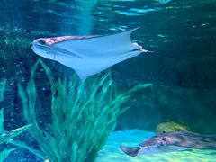 -沈阳海洋探索中心