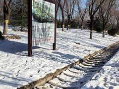 -永定河休闲森林公园