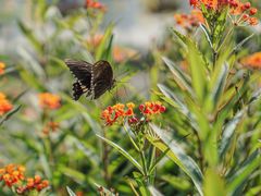 -上海山野camping·户外天幕烧烤·团建拓展营地